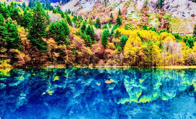 四川九寨溝五花海|童話世界的調色盤美到窒息!|Trip.com 九寨溝