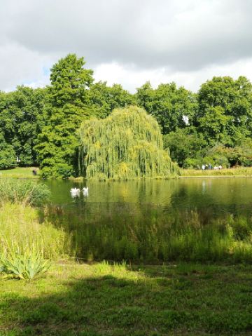 This travel guide offers amazing new ways to enjoy your winter break in the UK!