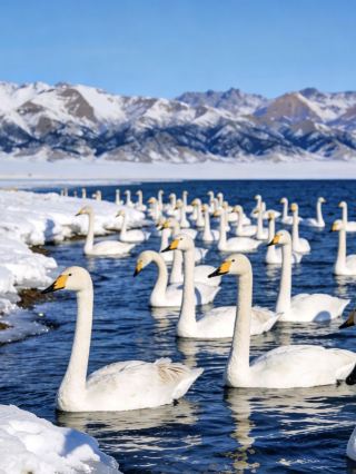 3月6日のセリム湖現地ライブレポート、私のリアルな体験を語ります