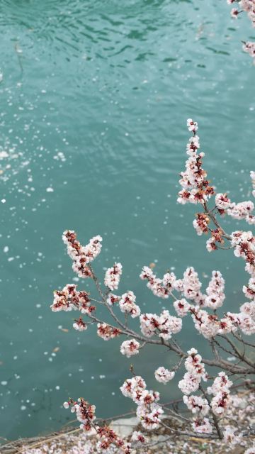 4月の南疆はこんな感じです | Trip.com タシュクルガン・タジク自治県