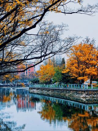 City walk 전당하: 고원 수성의 천년 수운이 쿤밍의 옛 꿈과 만나다