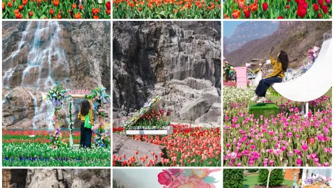 이 사진 9장을 찍기 위해 일부러 바오취안에 다녀왔습니다... — traveler post in 신미
