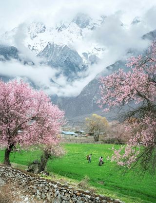 枕山栖谷・中式国潮｜テラスから太行山の全景を一望