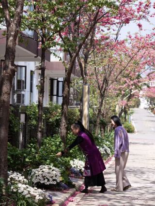 Наслаждайтесь беззаботным питанием во время пребывания в Дали – идеальный способ провести расслабляющий отдых.