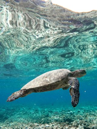 Saipan travel real experience | unfiltered island