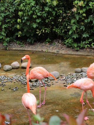 昆明旅行野生動物園・子どもと遊ぶ