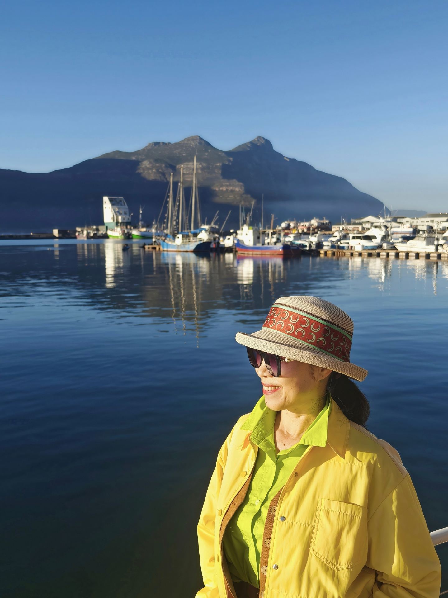 Hout Bay, Cape Town | Sail into the Atlantic sea lion kingdom