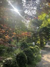 5天玩轉日本這份攻略快碼住