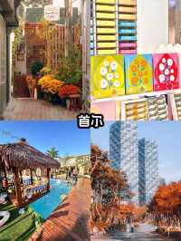 第一次去韓國，千萬別跟團，能勸一個是一個，因為實在太...
