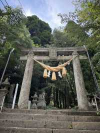 5天逛遍日本超全攻略快碼住