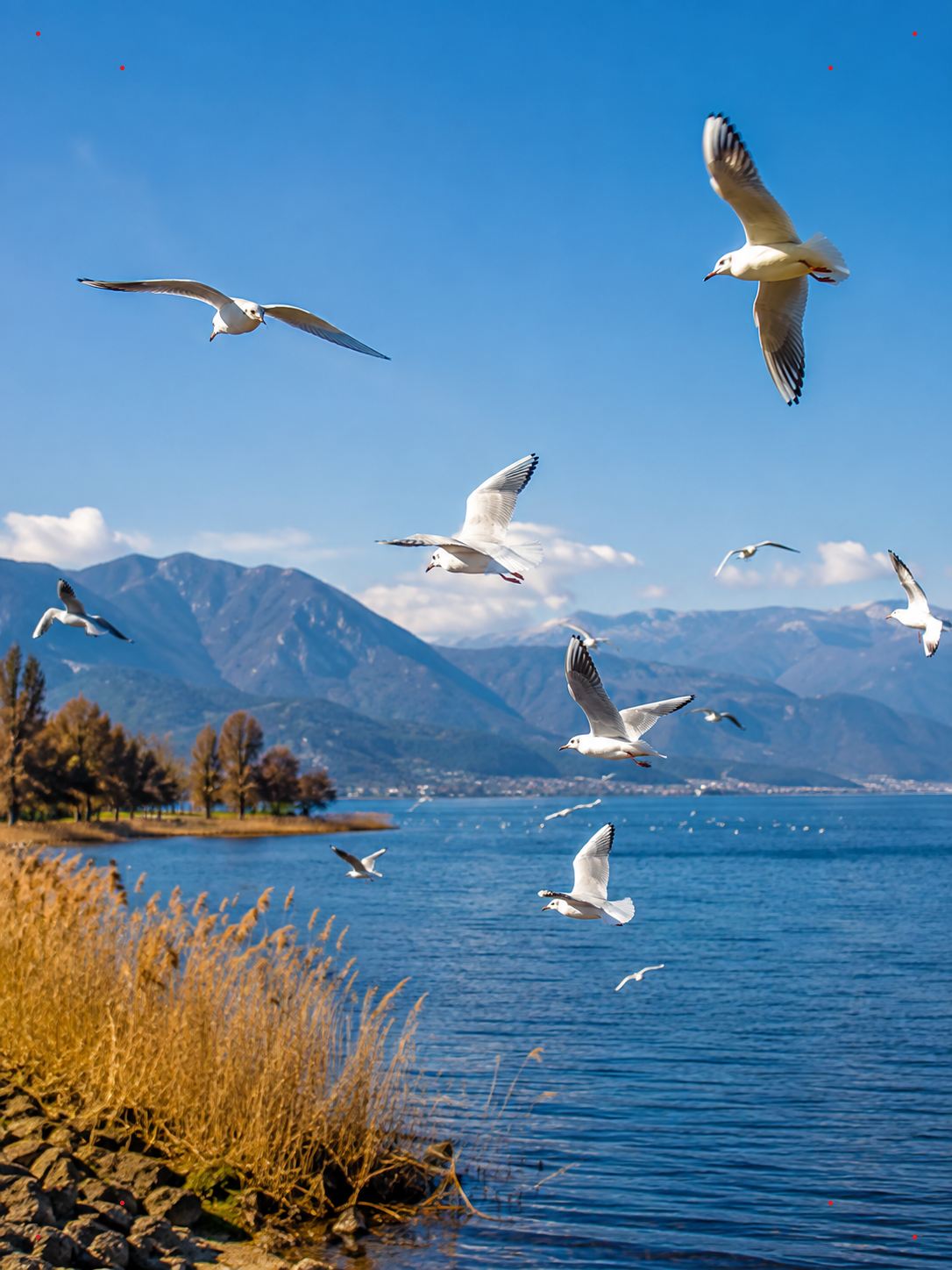 Head South for Winter: 6 Sunny Getaways