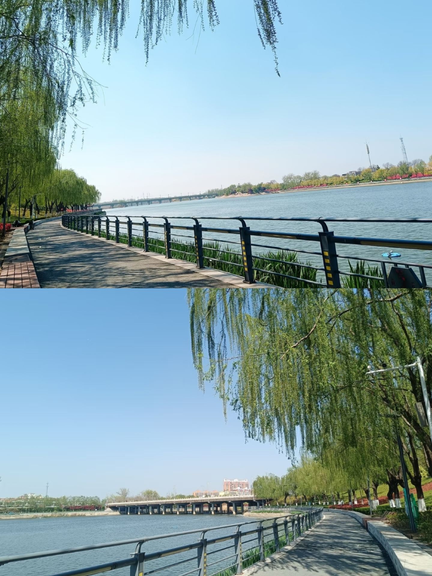 Puyang ultimate guide | See the "First Dragon of China," enjoy the ancient town night view, and experience the charm of acrobatics