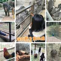 即日來回一日遊😆親子遊最佳地點🥰深圳野生動物園