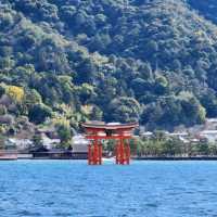 히로시마 미야지마섬으로의 여행   