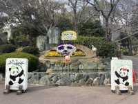 【神戸市立王子動物園】上野動物園並みの大充実