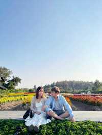 AGA Happy farm สวนดอกไม้แม่แตง เชียงใหม่