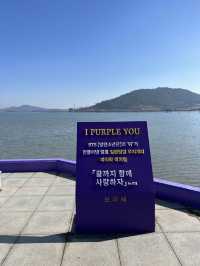 전남 신안 가볼만한곳 🌺