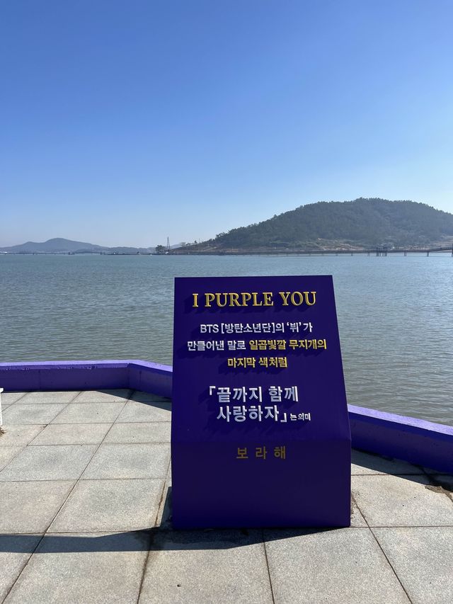 전남 신안 가볼만한곳 🌺