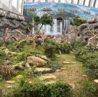 Macao Giant Panda Pavilion