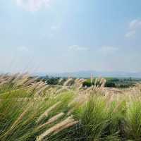 Sky hills คาเฟ่วิวสวยทางผ่านที่ต้องแวะ
