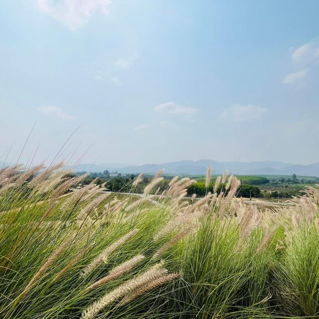 Sky hills คาเฟ่วิวสวยทางผ่านที่ต้องแวะ