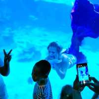 Aquaria Phuket
