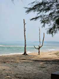 Ban Nam Khem Tsunami Memorial Park