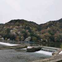 beautiful Arashiyama