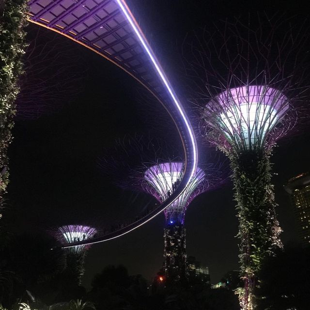My Visit to the Gardens by the Bay 