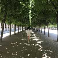 法國🇫🇷網紅必到景點‼️Emily in Paris取景地🫶🏻皇家宮殿花園