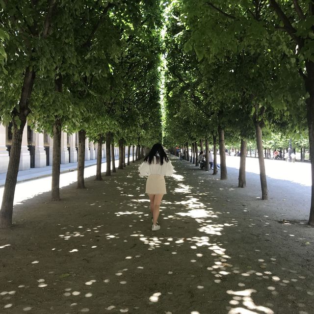 法國🇫🇷網紅必到景點‼️Emily in Paris取景地🫶🏻皇家宮殿花園