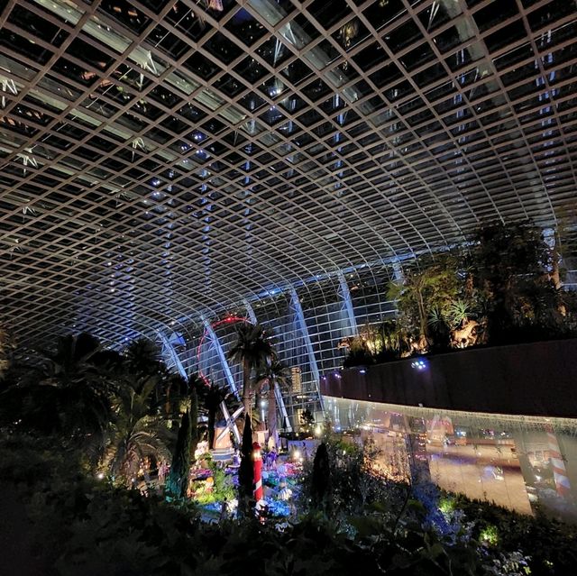 Blossoms under Starlight: Night at Flower Dome