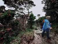 ⛰️ Mount Kinabalu Adventures: Part 1