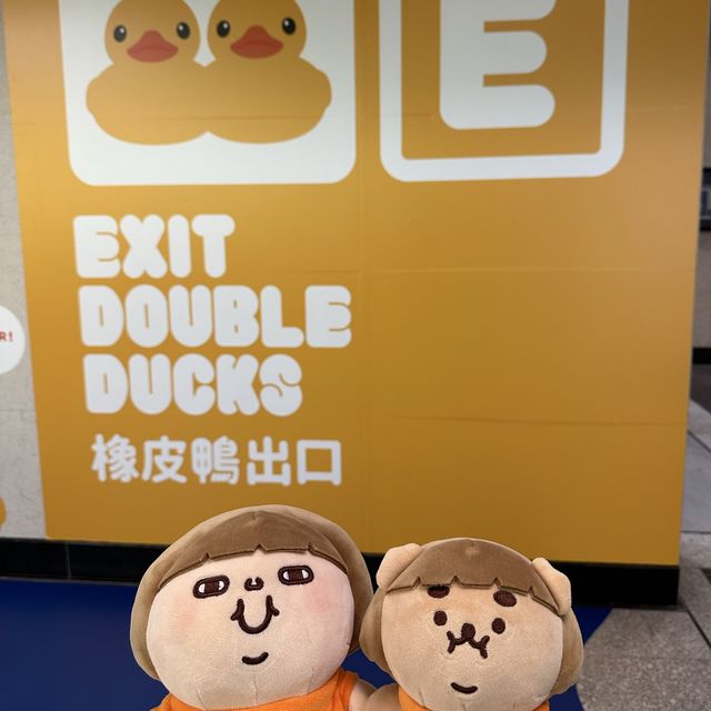 Fatty Puffy meet Duckys