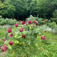 一年四季都有唔同花睇嘅芝公園