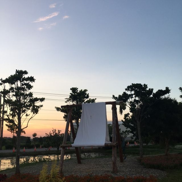 桃園新屋蓮花🪷季