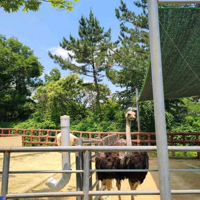 진주 진양호 동물원