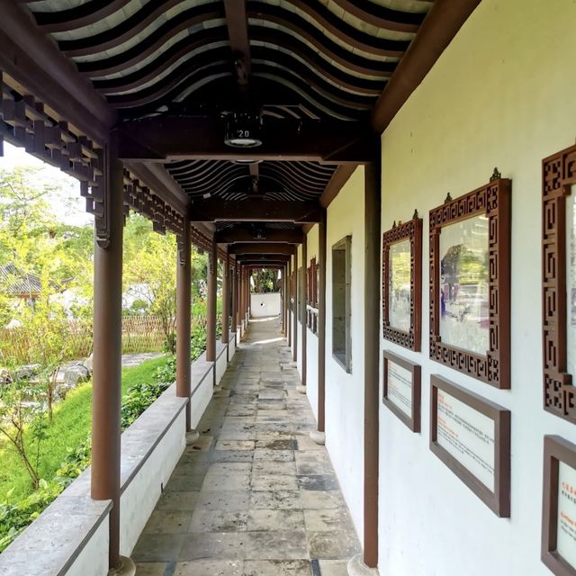 🏰 探索九龍寨城公園🌳 