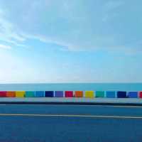 チェジュ島🏝虹🌈の道路