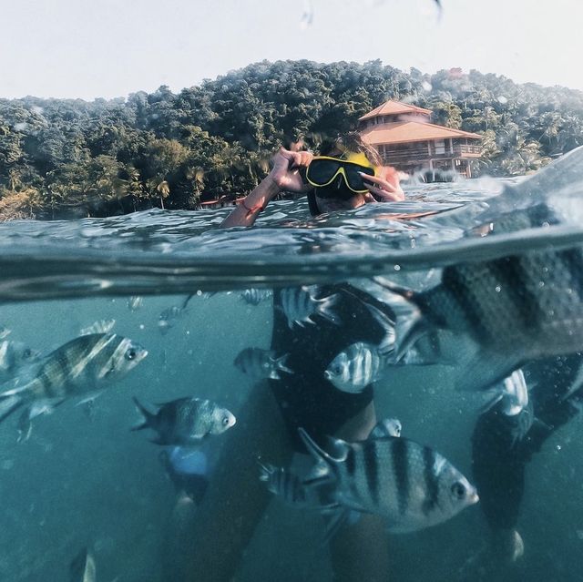 🏖️ที่พักติดทะเลมีชายหาดส่วนตัว บนเกาะช้าง