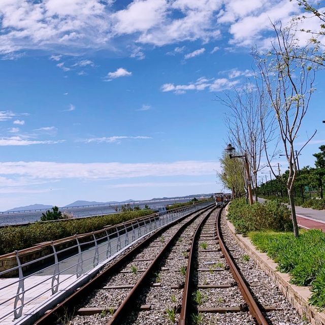 🚴 영종바다를 보며 소중한 사람과 함께 바이크 레저를 즐길 수 있는 영종 씨사이드 레일바이크
