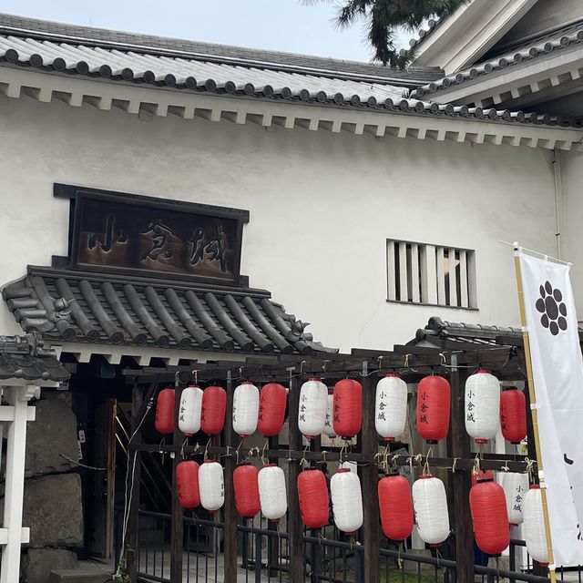 고쿠라성의 야경🏯🎆🌌🎇