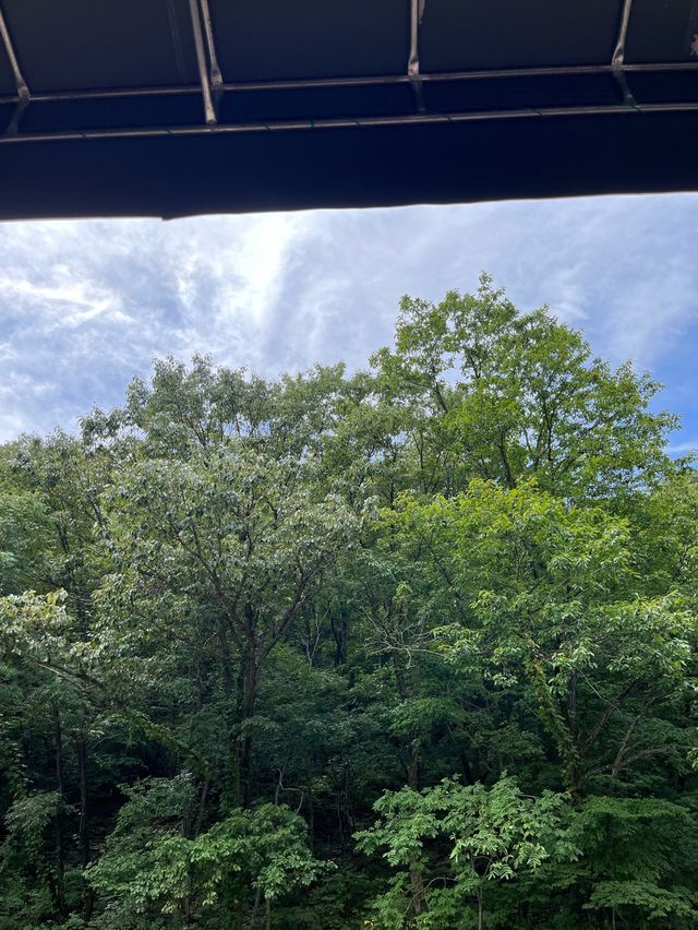 여름에 꼭 가야하는 물 색이 아름다운 완주 계곡 제일산장🌊