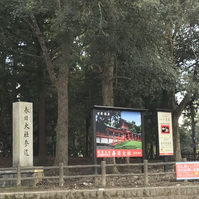 鹿群環繞的古都風情
