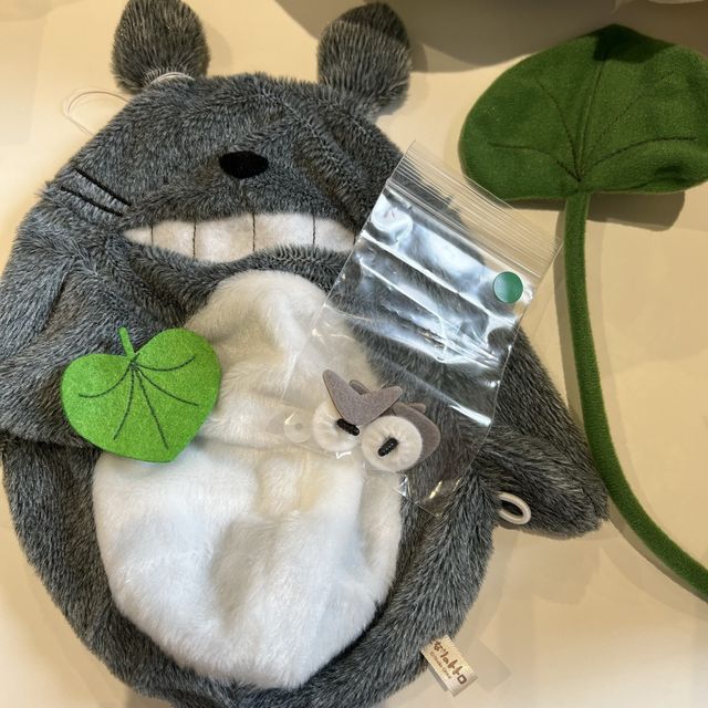 伊豆に来たら行ってみて！
