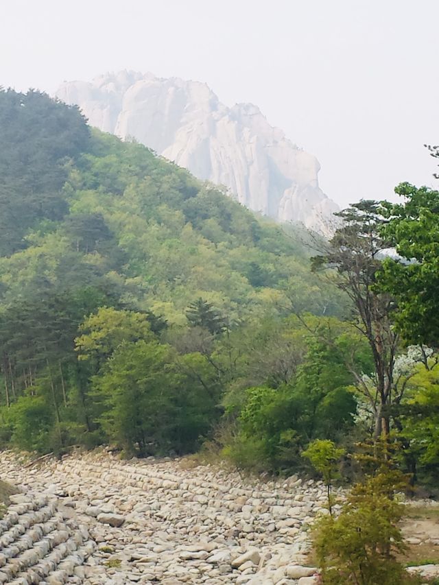 [KOREA]✨⭐️ Seoraksan National Park⭐️✨