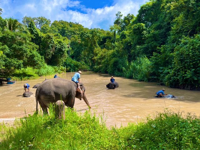 ชมน้องช้าง ที่ศูนย์อนุรักษ์ช้างไทย ลำปาง