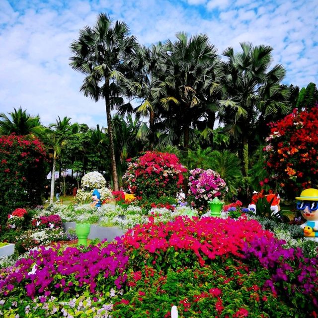 簕杜鵑盛放的蓮花山公園 簕杜鵑盛放的蓮花山公園