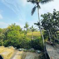 The most unique bamboo resort in Bali