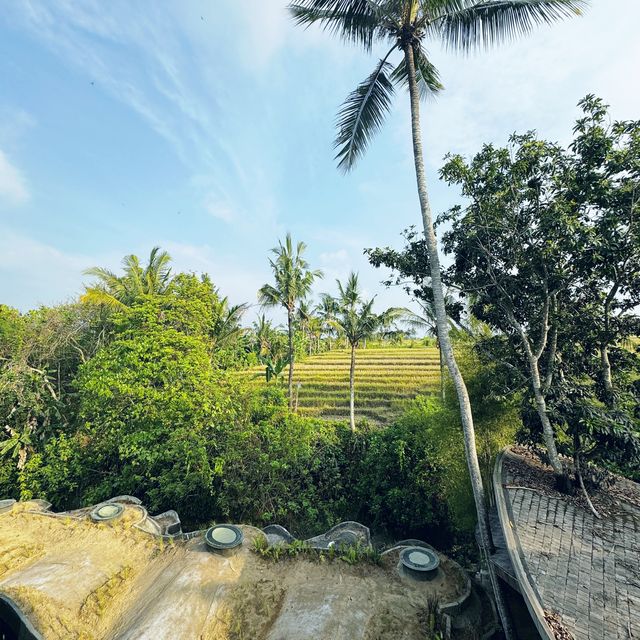 The most unique bamboo resort in Bali